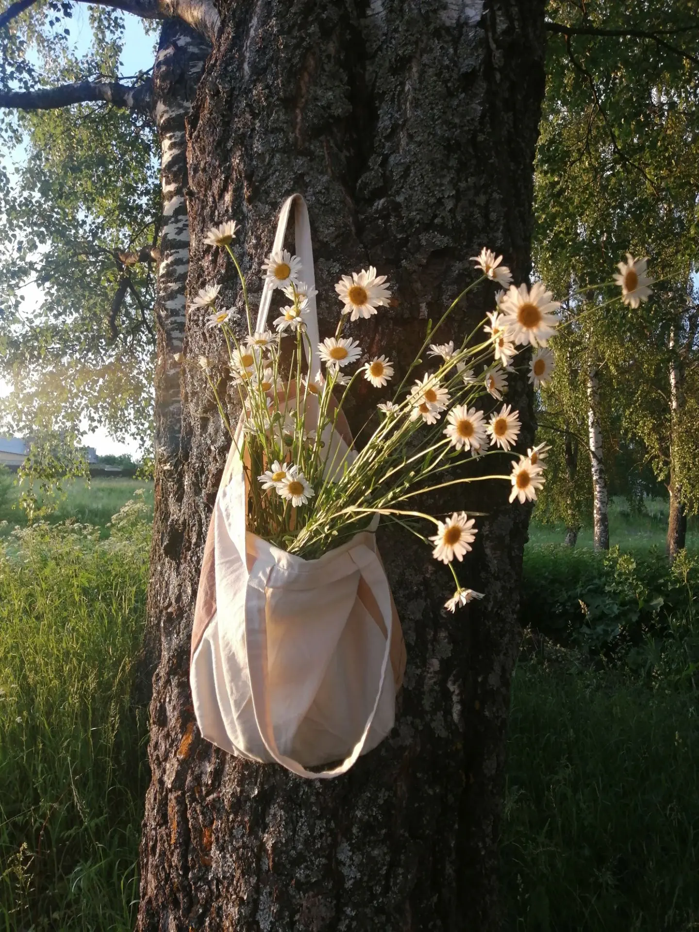 Фото с прогулки по родным тропкам