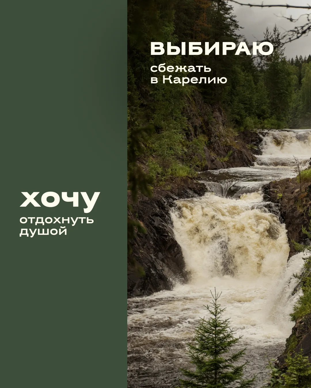 «Хвоя Карелия» — место, куда приезжают за тишиной и ощущением настоящего отдыха 🌿  Здесь вас ждут ра