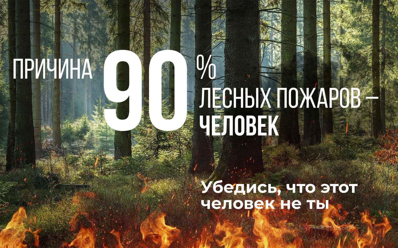 На опережение стихии: профилактика и борьба с лесными пожарами
На сегодня особый противопожарный сез