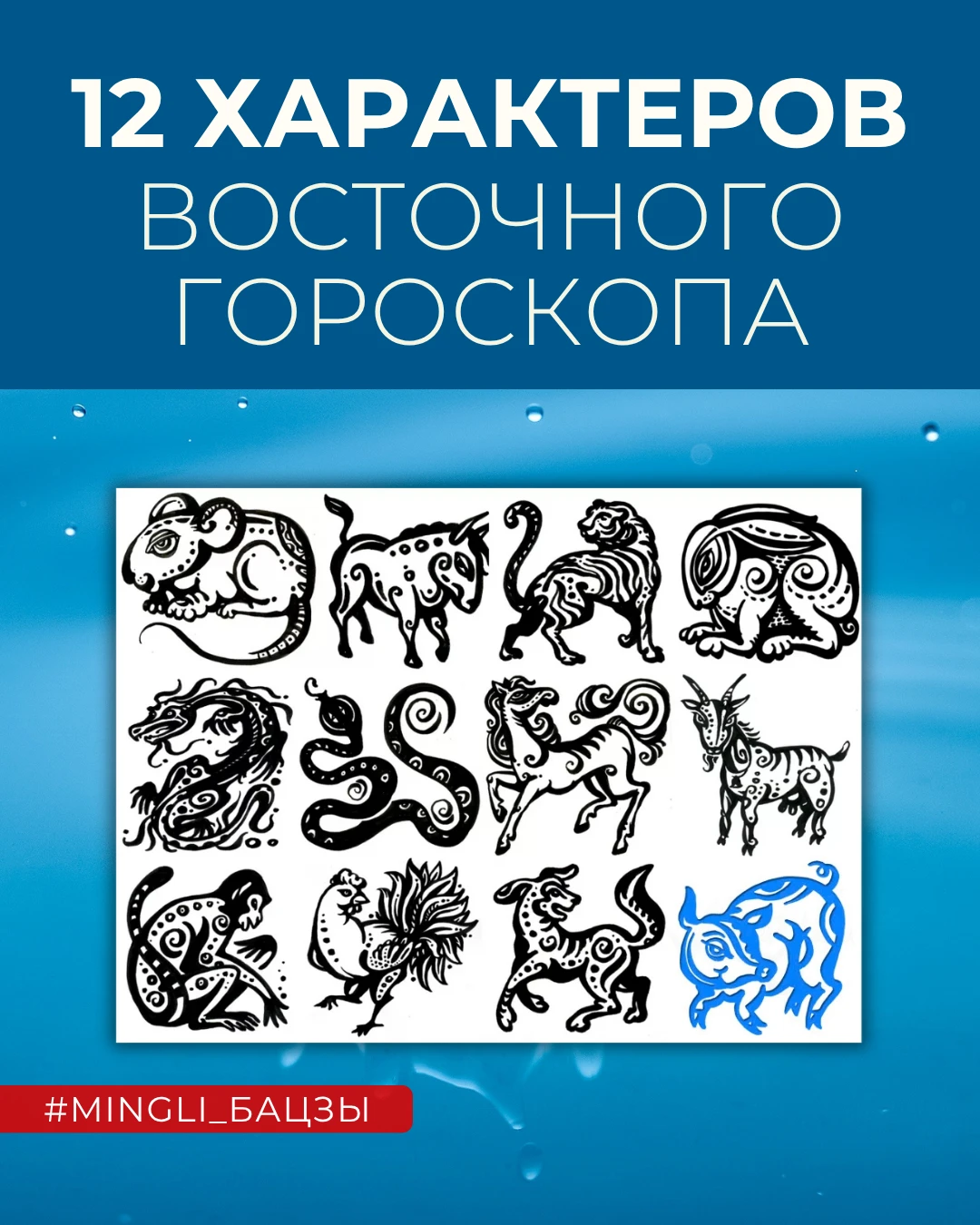 🐖 12 характеров восточного гороскопа. Свинья 亥