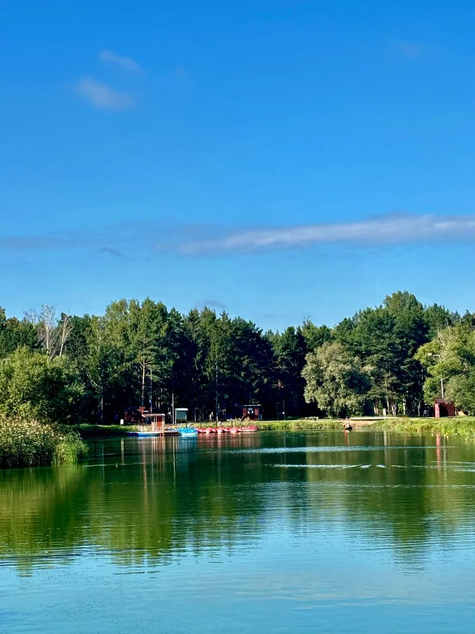 🦟🏞Сегодня, 21 августа, в ПКиО им. 30-летия ВЛКСМ прошла плановая ларвицидная обработк...