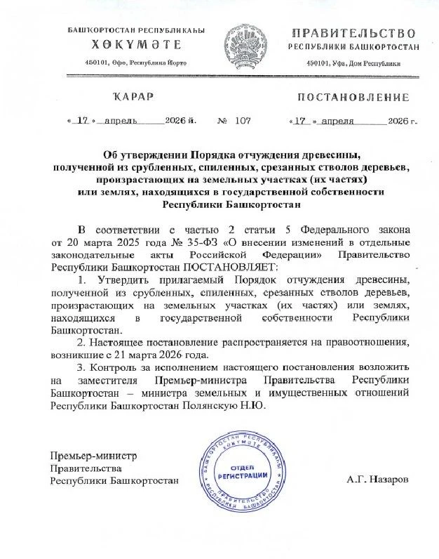 В Башкортостане утвержден Порядок отчуждения древесины
