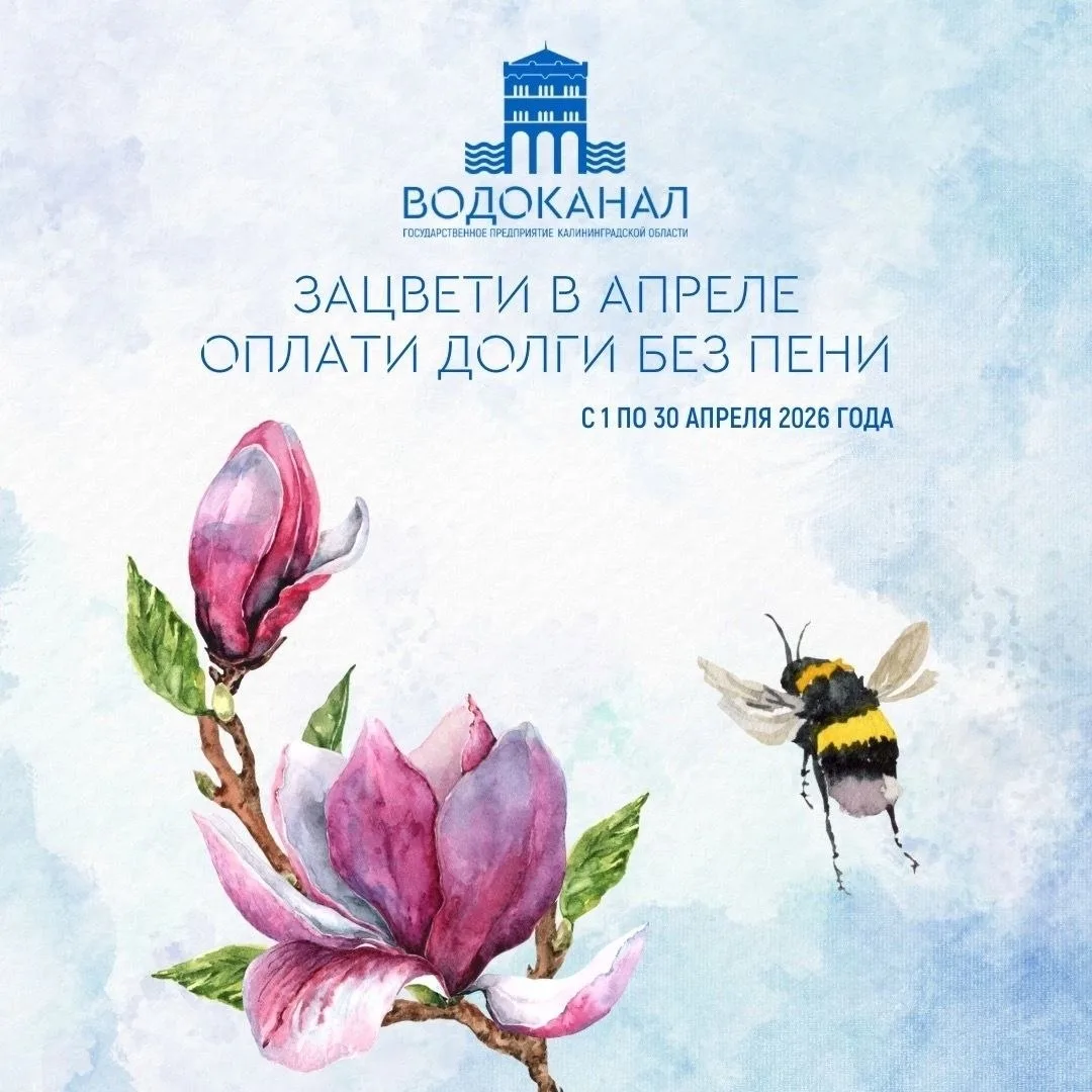 Областной «Водоканал» запустил акцию «Оплати долги без пени»!  С 1 по 30 апреля жителям Калинингра