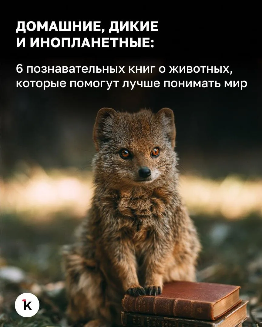 📚 В воскресенье, 4 октября, отмечают Всемирный день защиты животных. И это отличный по...