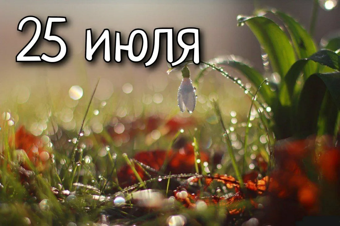 Праздники 25 июля 🎈