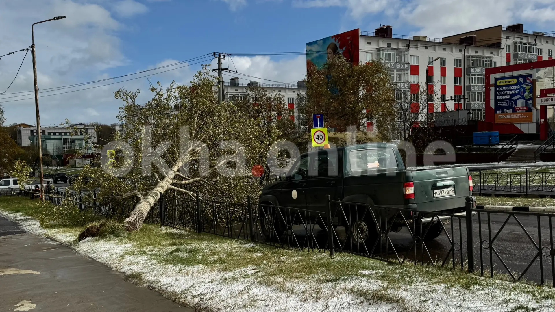 В Охе сильный ветер повалил дерево на проезжую часть улицы Советской