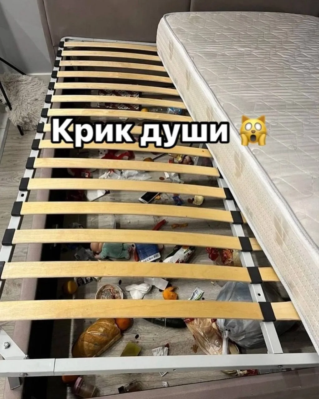 Москвичка сдала квартиру «порядочным гражданам». После их выселения она заглянула под к...