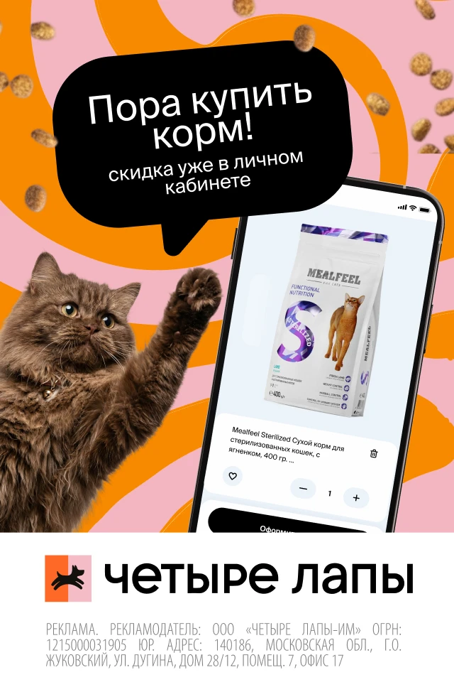 Лапки в порядке — настроение на высоте! 🥰