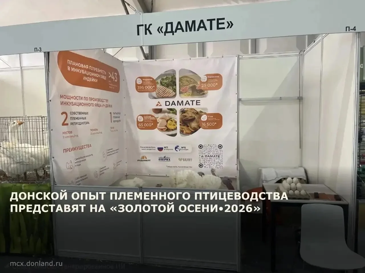 Сегодня в Москве начала работу XXVIII Российская агропромышленная выставка «Золотая осе...