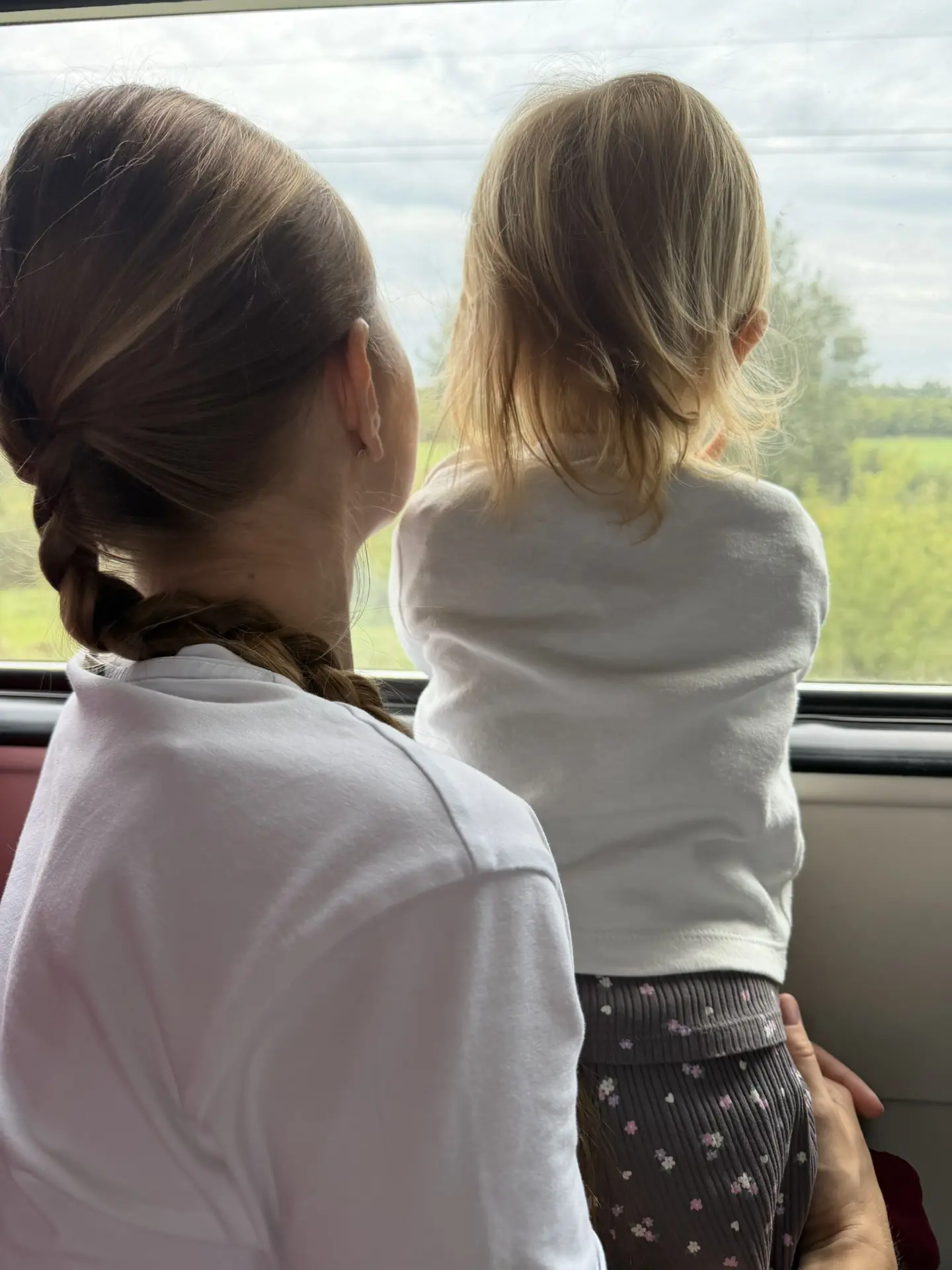 домой 🚆