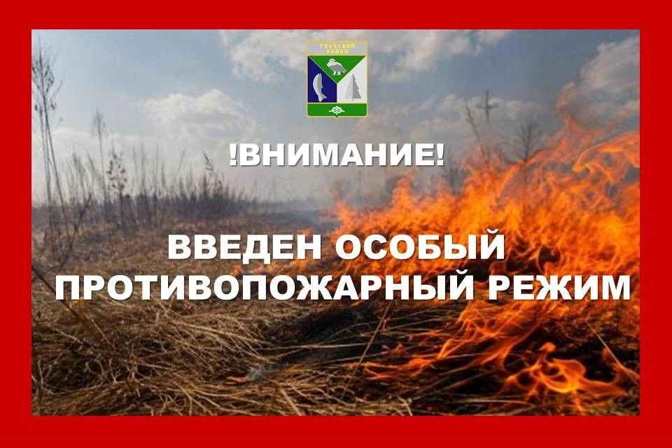 🚨 Уважаемые жители Ульчского района! Напоминаю о действии особого противопожарного режима