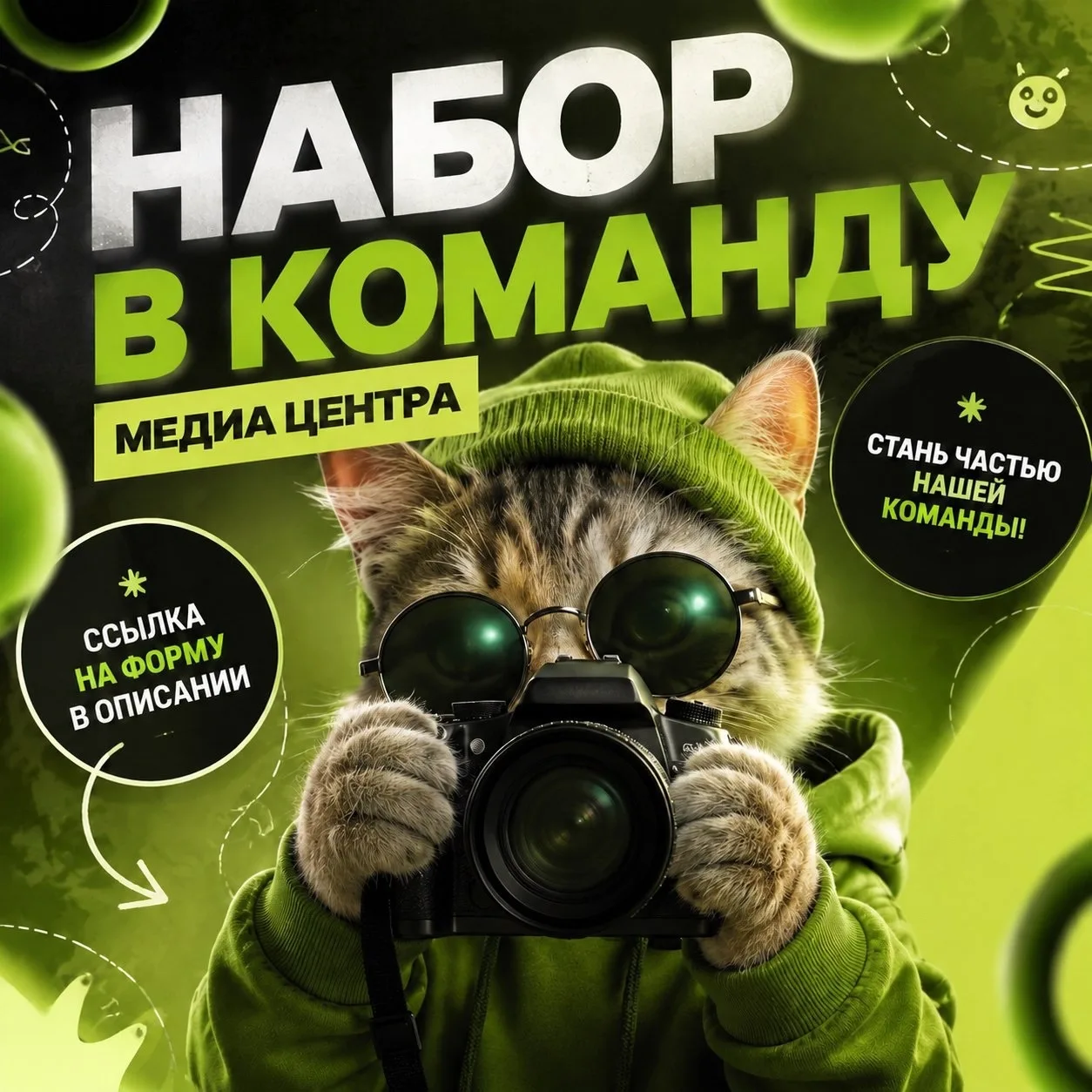 🐱 ВНИМАНИЕ! ГЛАВНЫЙ КОТ МЕДИА-ЦЕНТРА ИМТ ОБЪЯВЛЯЕТ НАБОР В КОМАНДУ!