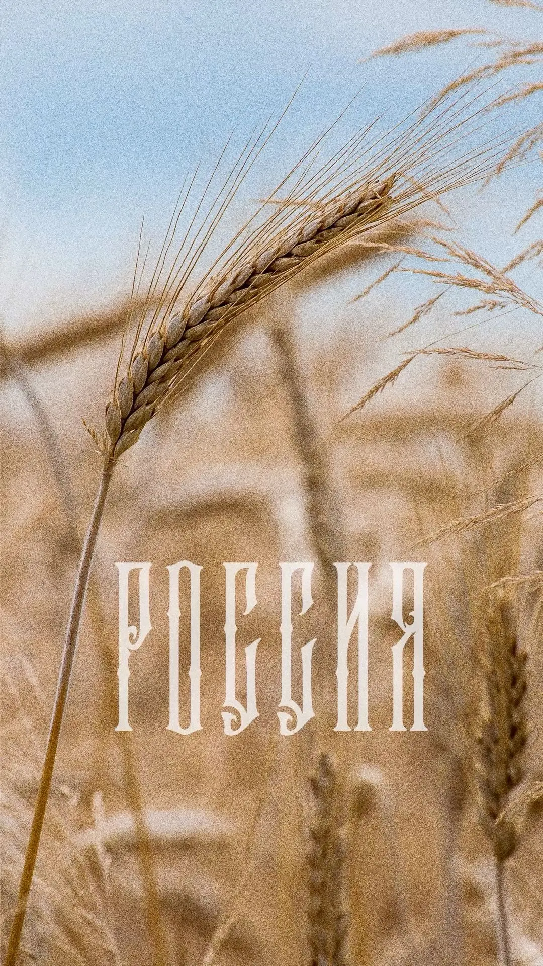 🎉 ПРАЗДНИЧНЫЙ КОНЦЕРТ В ШКОЛЕ №3! 🎉