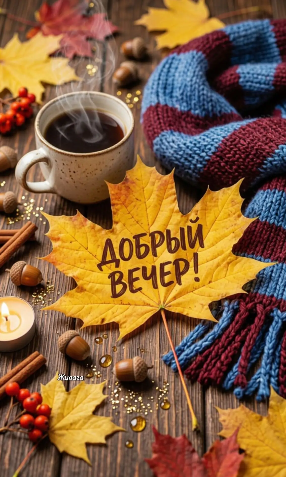 #хорошеговечера