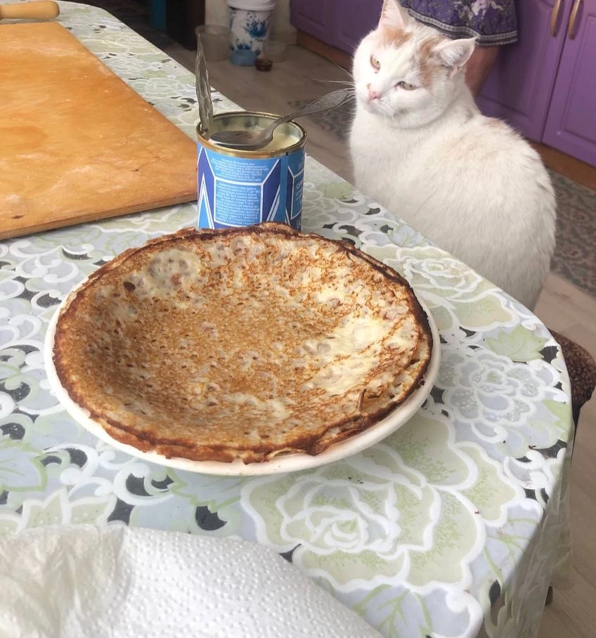 Снежок
