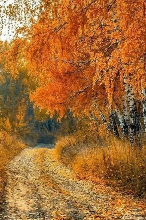 Серости на белом свете нет,