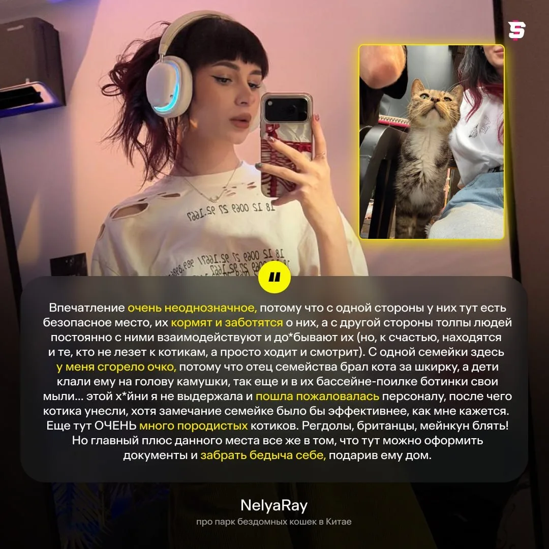 #NelyaRay поделилась впечатлениями от посещения парка кошек в Китае 🐈