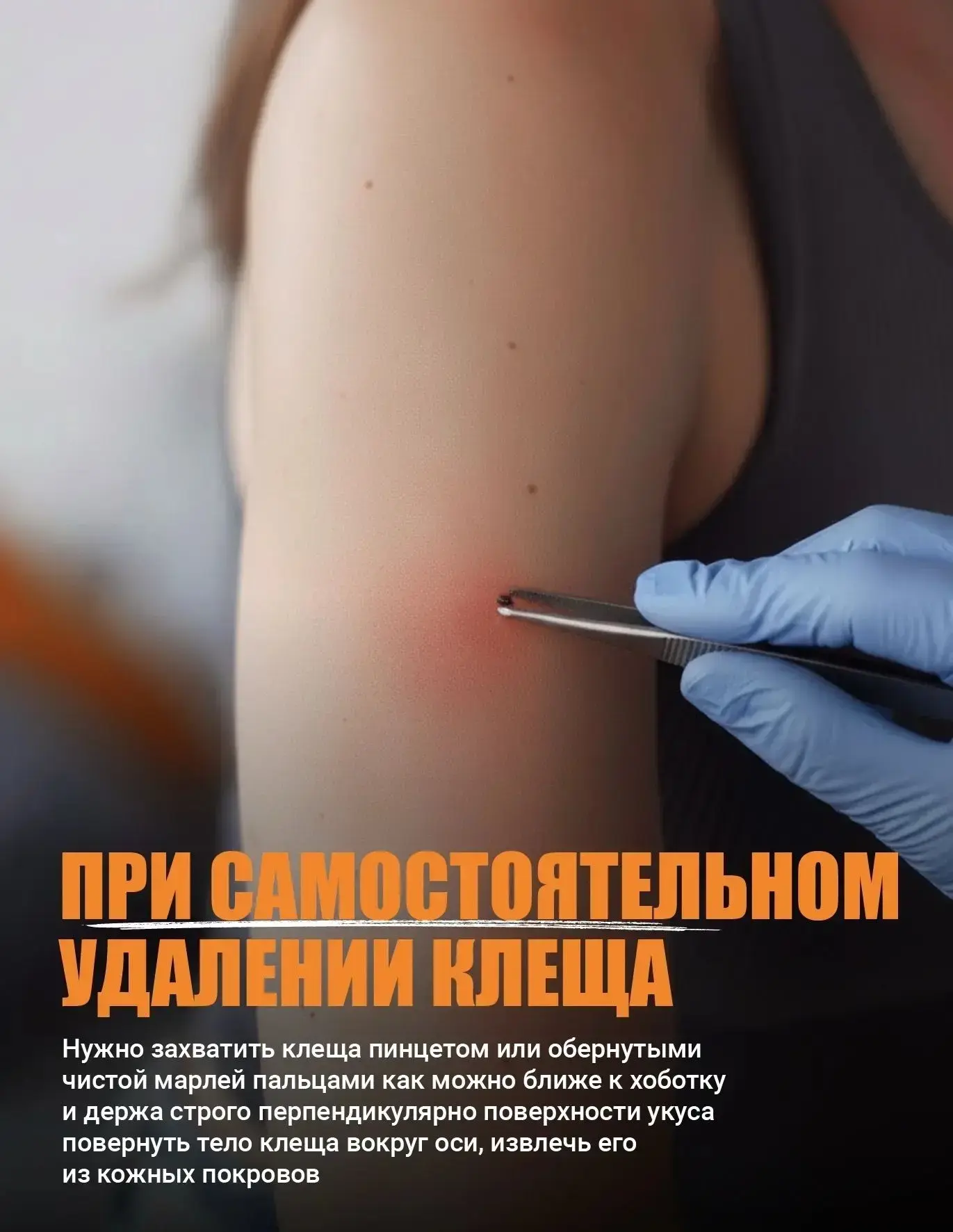 Погода дарит теплые, солнечные дни, а это отличная возможность выбраться всей семьей, с друзьями на 