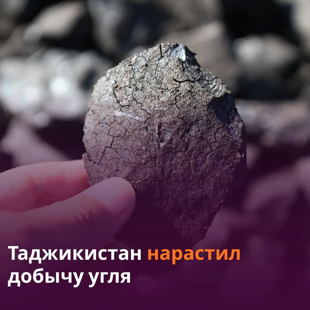 🪨 В Таджикистане добыли свыше 1,8 млн тонн угля.