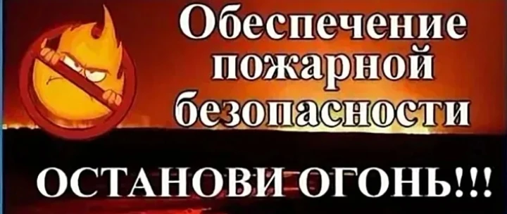 Останови огонь: сохраним леса России вместе!