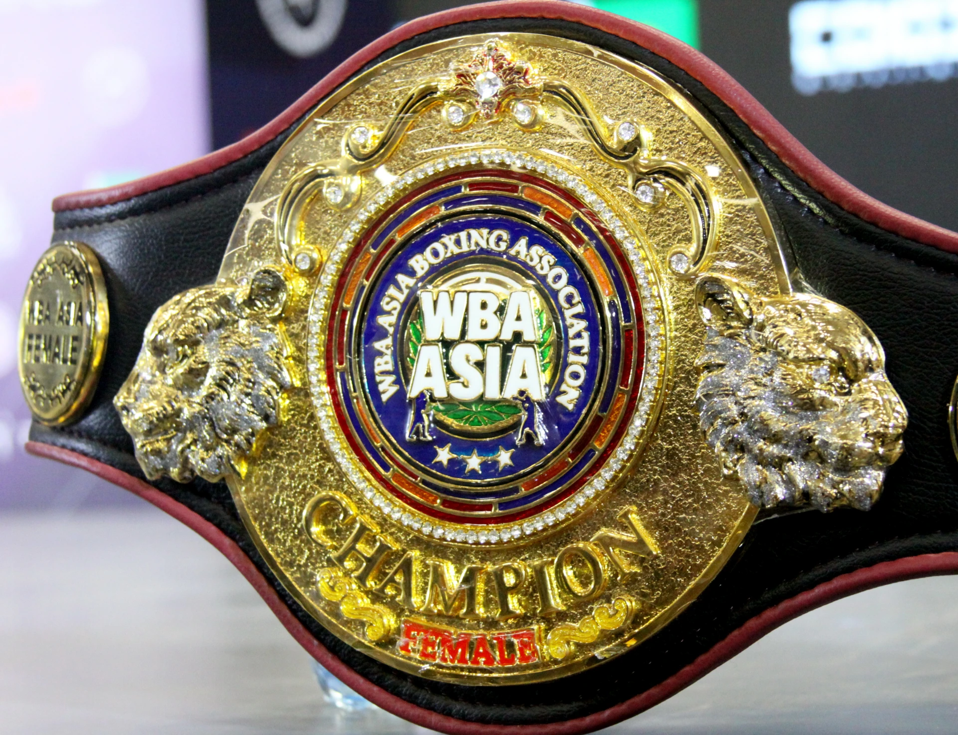 13 сентября в Оренбурге состоится вечер профессионального бокса WBA. Событие обещает бы...