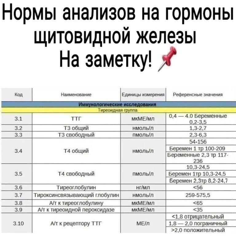 А вы знали?