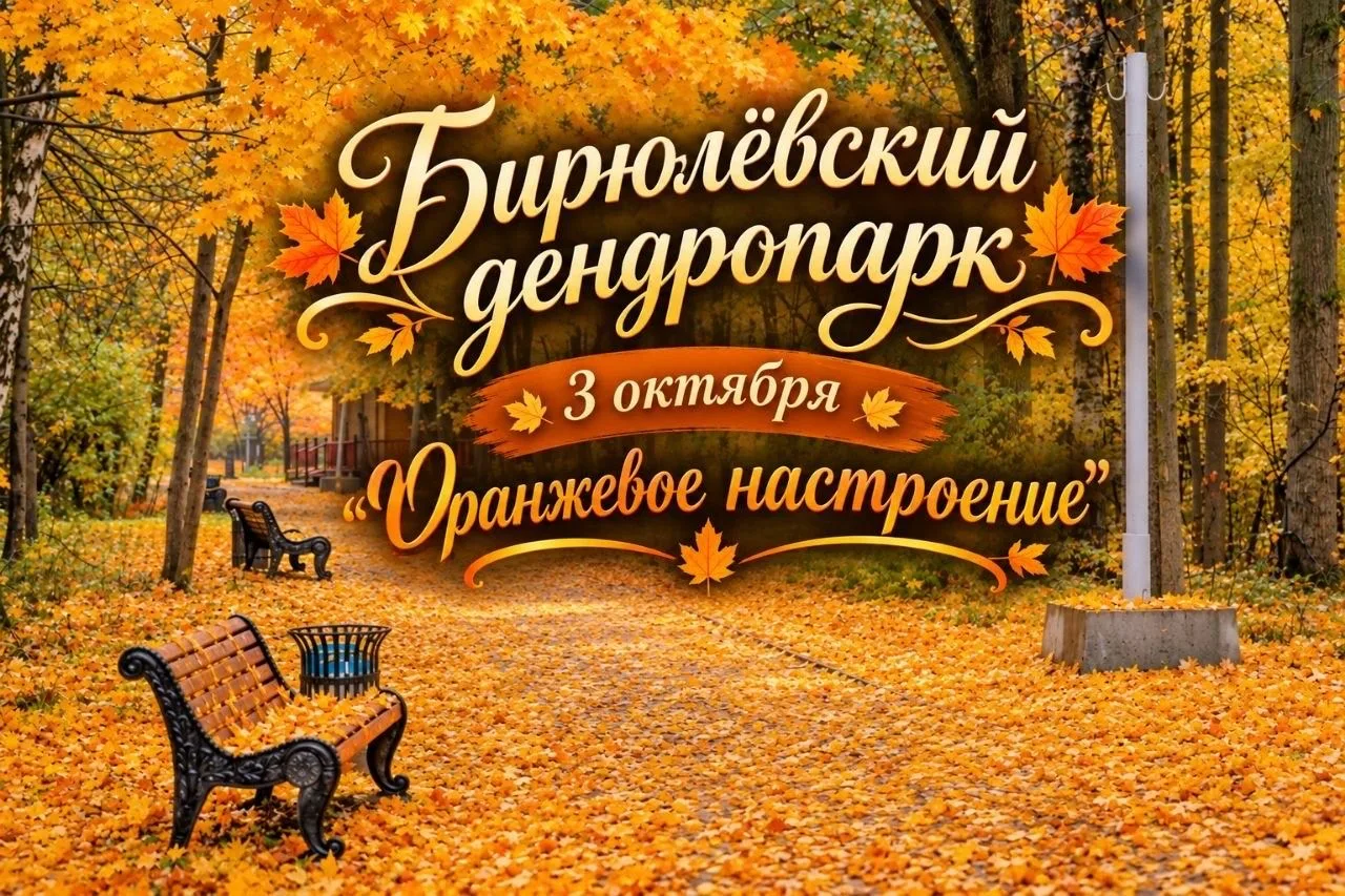 В Бирюлевском дендропарке проведут забег «Оранжевое настроение»