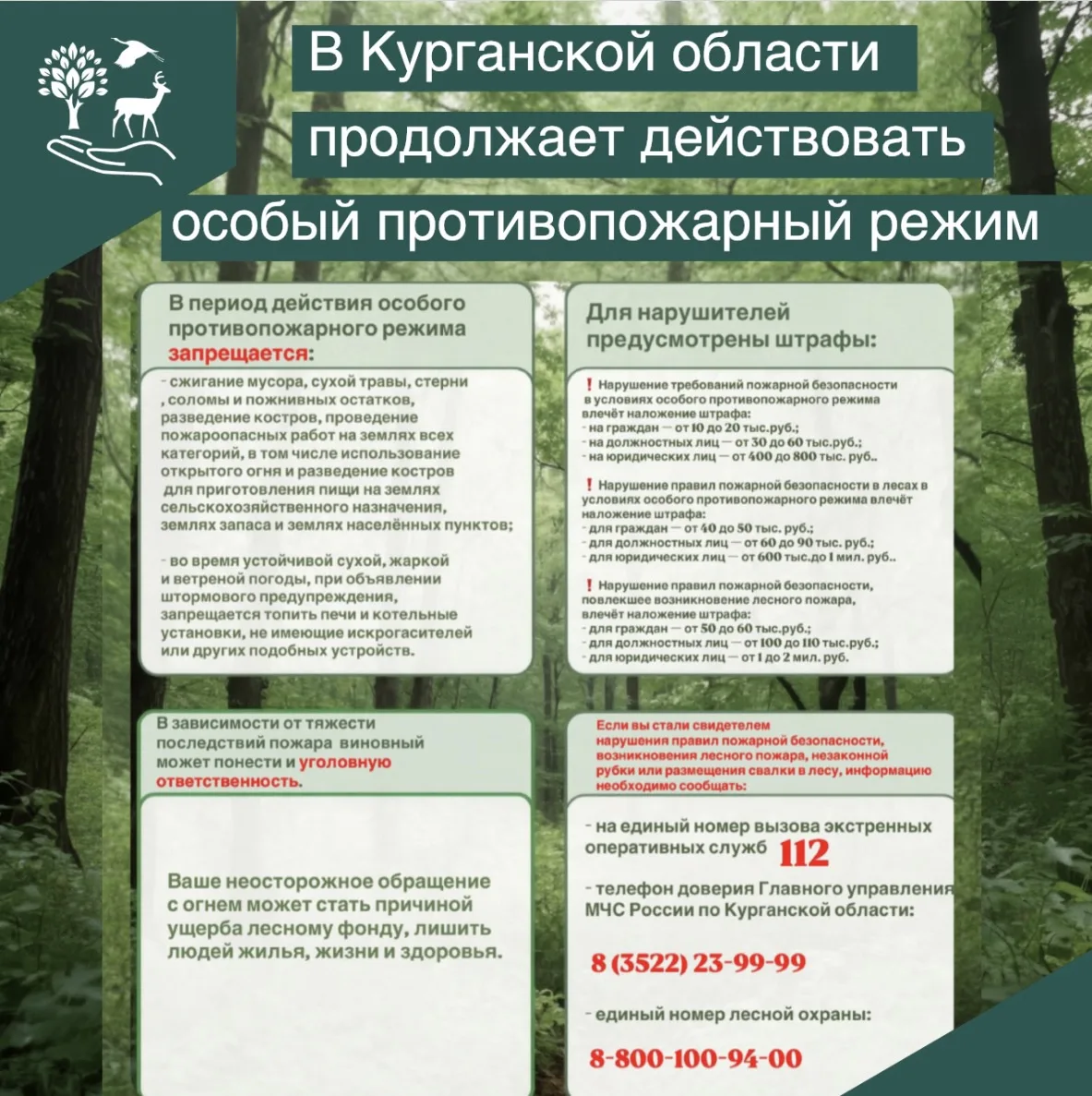 🌳🌊Накануне выходных, когда многие едут отдыхать на природу, насладится ее красотой и тишиной леса 