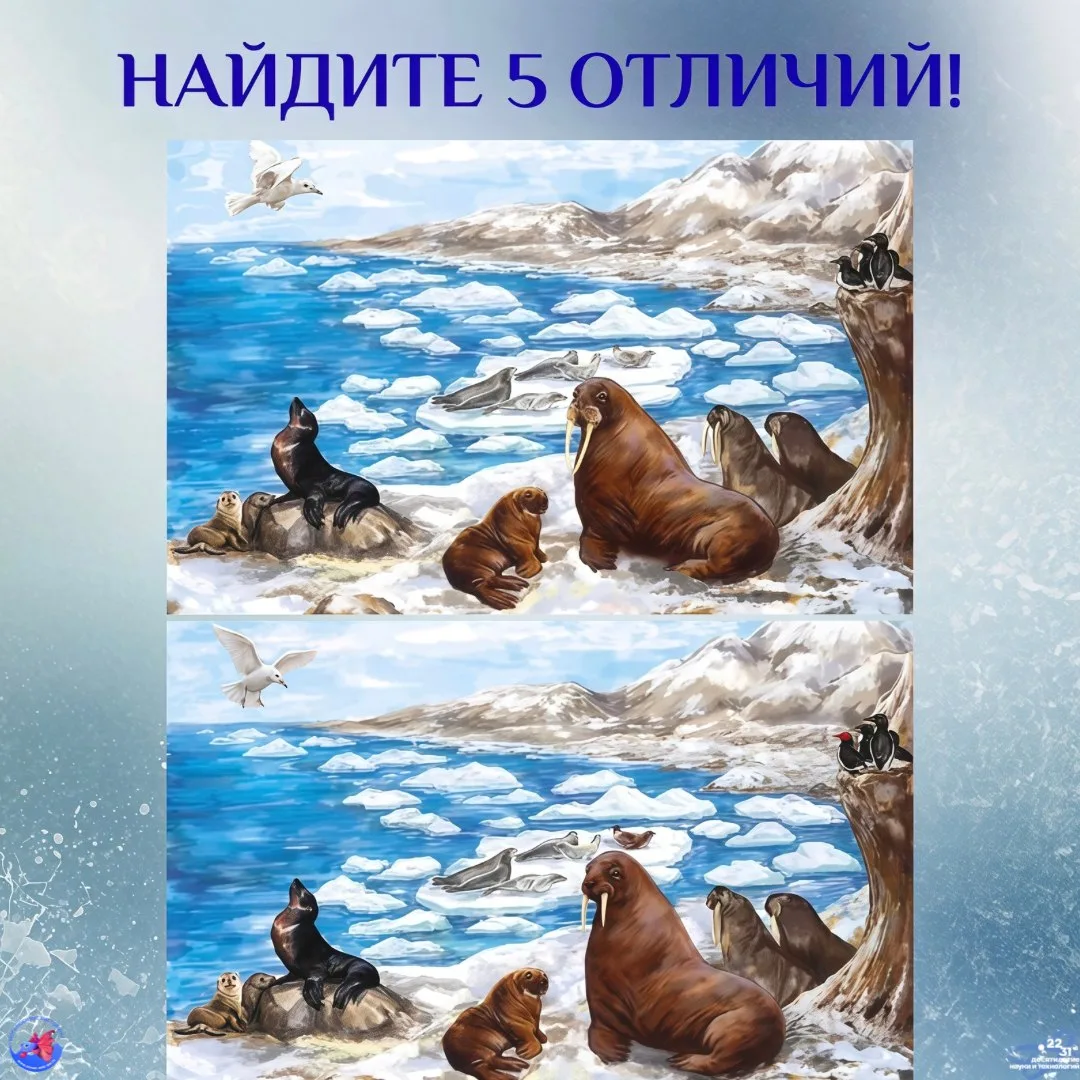 Давно мы с вами не играли, мореведы! 👋