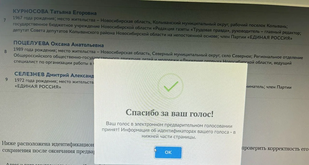 Сегодня стартовало электронное предварительное голосование «Единой России»