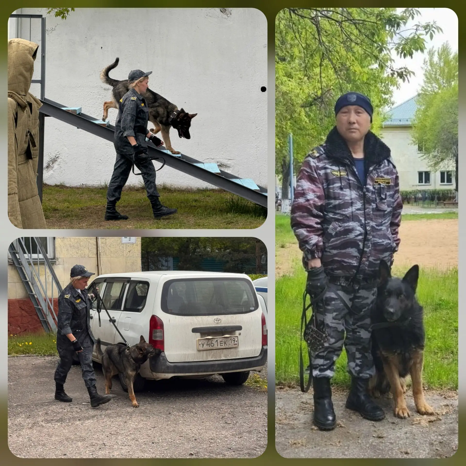 🐾 ХВОСТАТЫЙ СПЕЦНАЗ МАГИСТРАЛИ: ФИНАЛ СОРЕВНОВАНИЙ КИНОЛОГОВ В ФИЛИАЛЕ НА КРАСНОЯРСКОЙ ЖД 🚂  В филиа