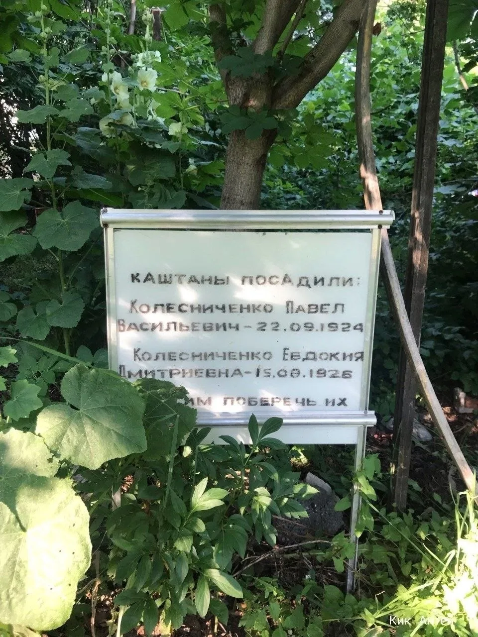 💔 Символ улицы Кирова оказался в запустении