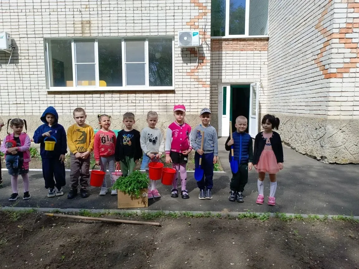 🌱Мы сажаем огород🌿