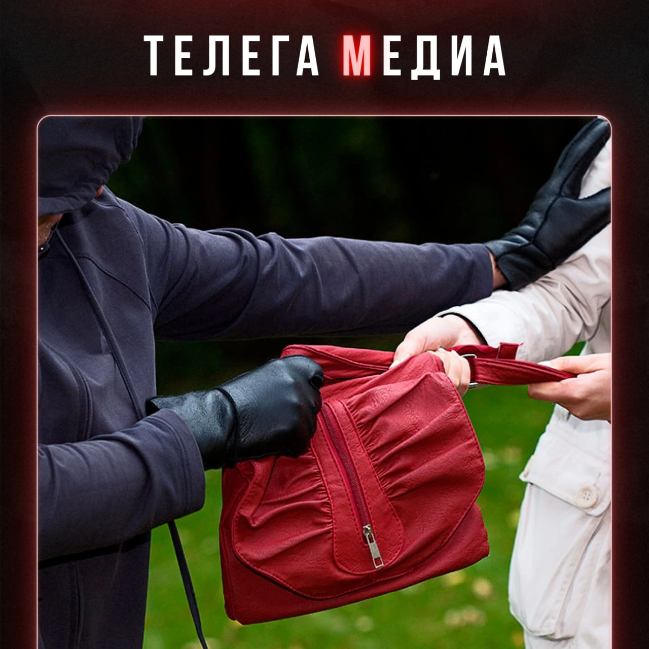Украли украденное