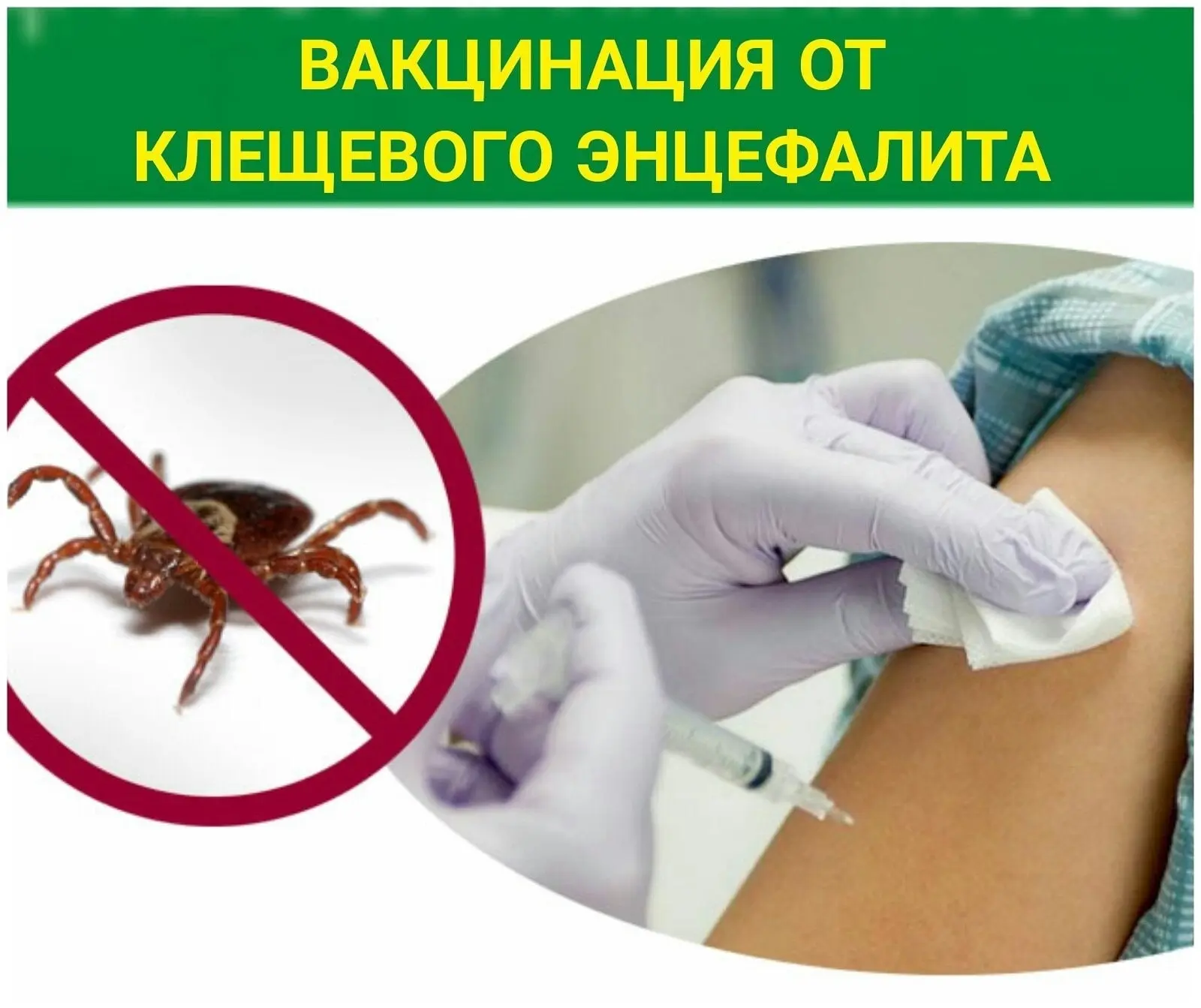 Хотите вакцинироваться от клещевого энцефалита? Просим заранее заявить о своем желании сделать приви