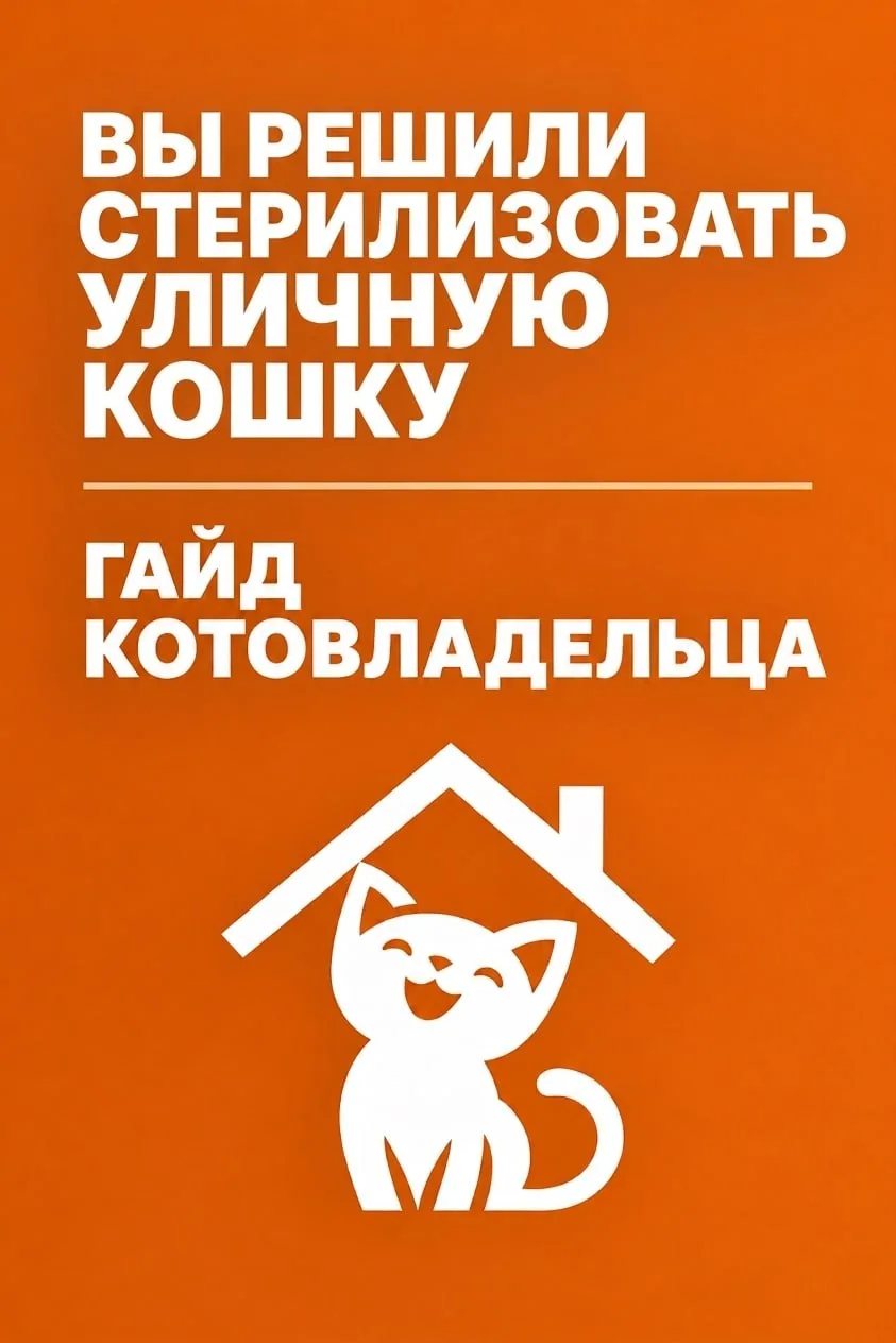 Для тех, кто никогда не сталкивался с отловом и стерилизацией бездомных кошек, мы и под...