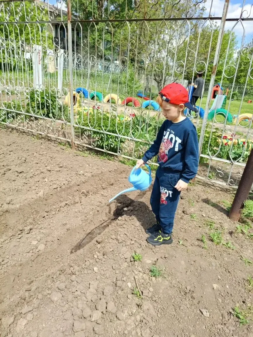 Мы сажаем огород.🥦🥕Посмотрите ,что растет!