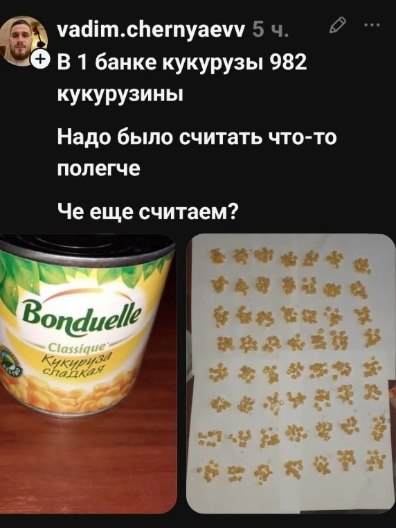 Ладно, признаюсь: я бы после 982 кукурузин вообще ничего больше не считала. Мозг бы про...