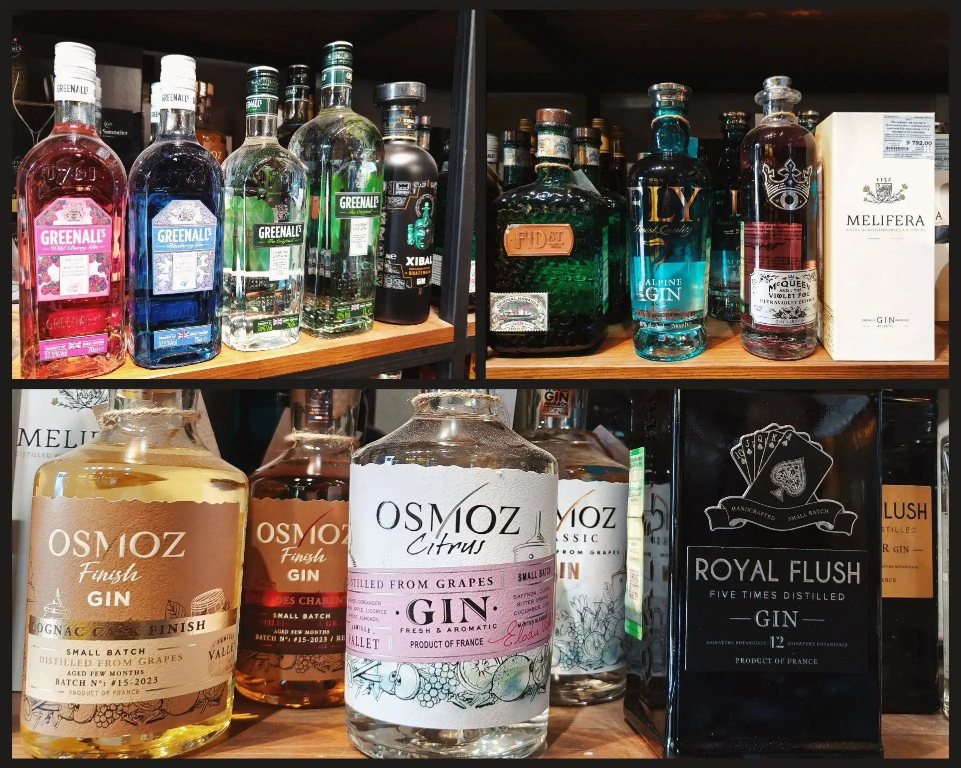 ✨ #WorldGinDay