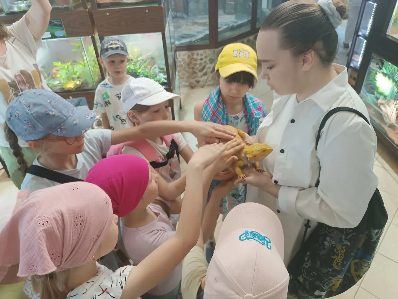 🎓 НОВОСТИ ШКОЛЫ 9