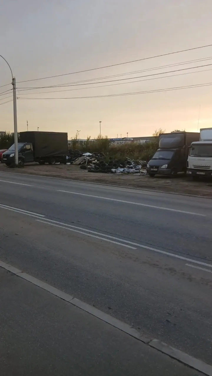 Центральная улица напротив МЧС. Ну что за свиньи 🐖  😢