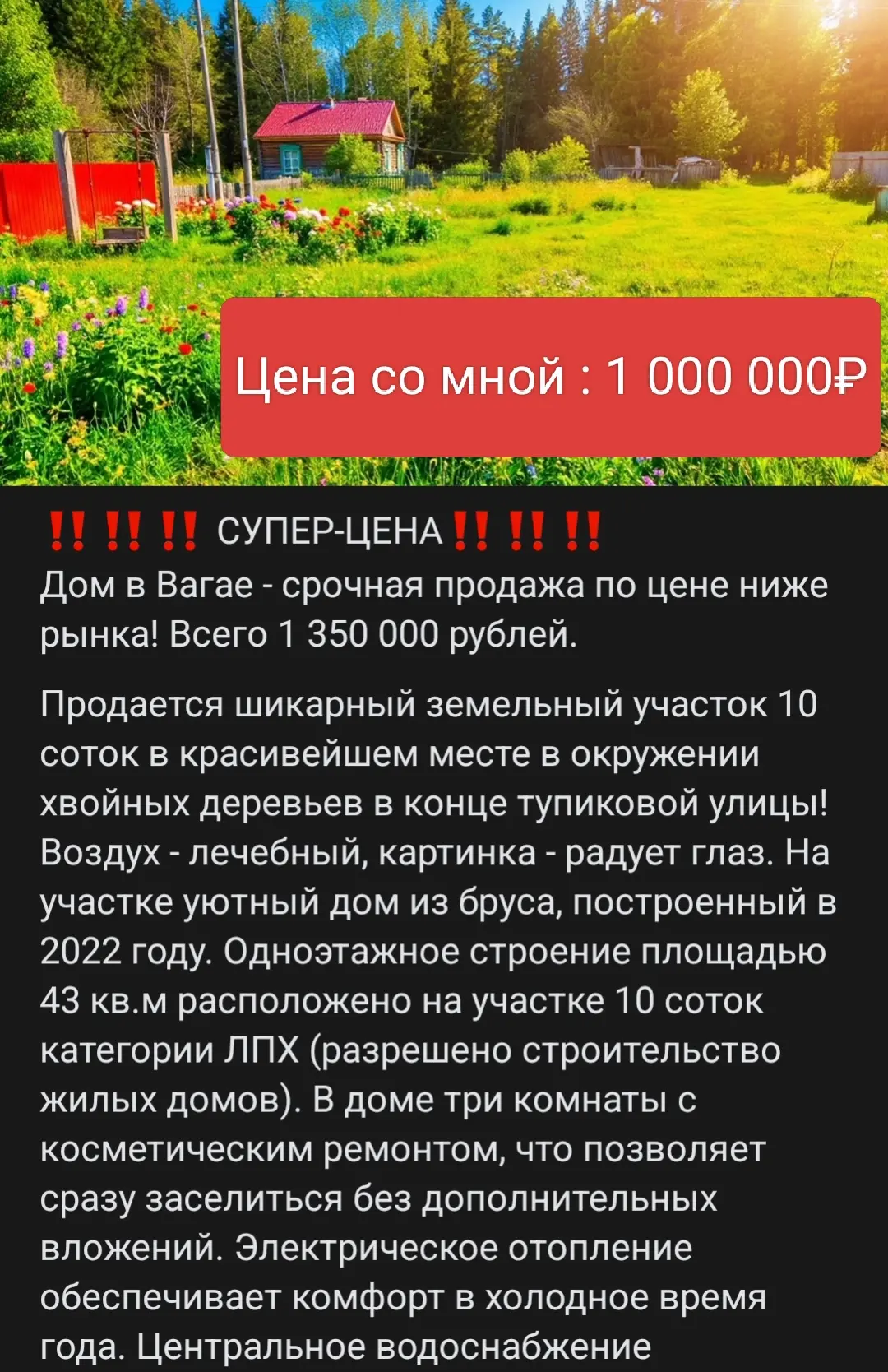 ☎ 89224743703