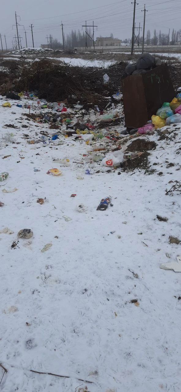 Так как дозвониться до Администрации города, а именно в отдел благоустройства, в течении недели прос
