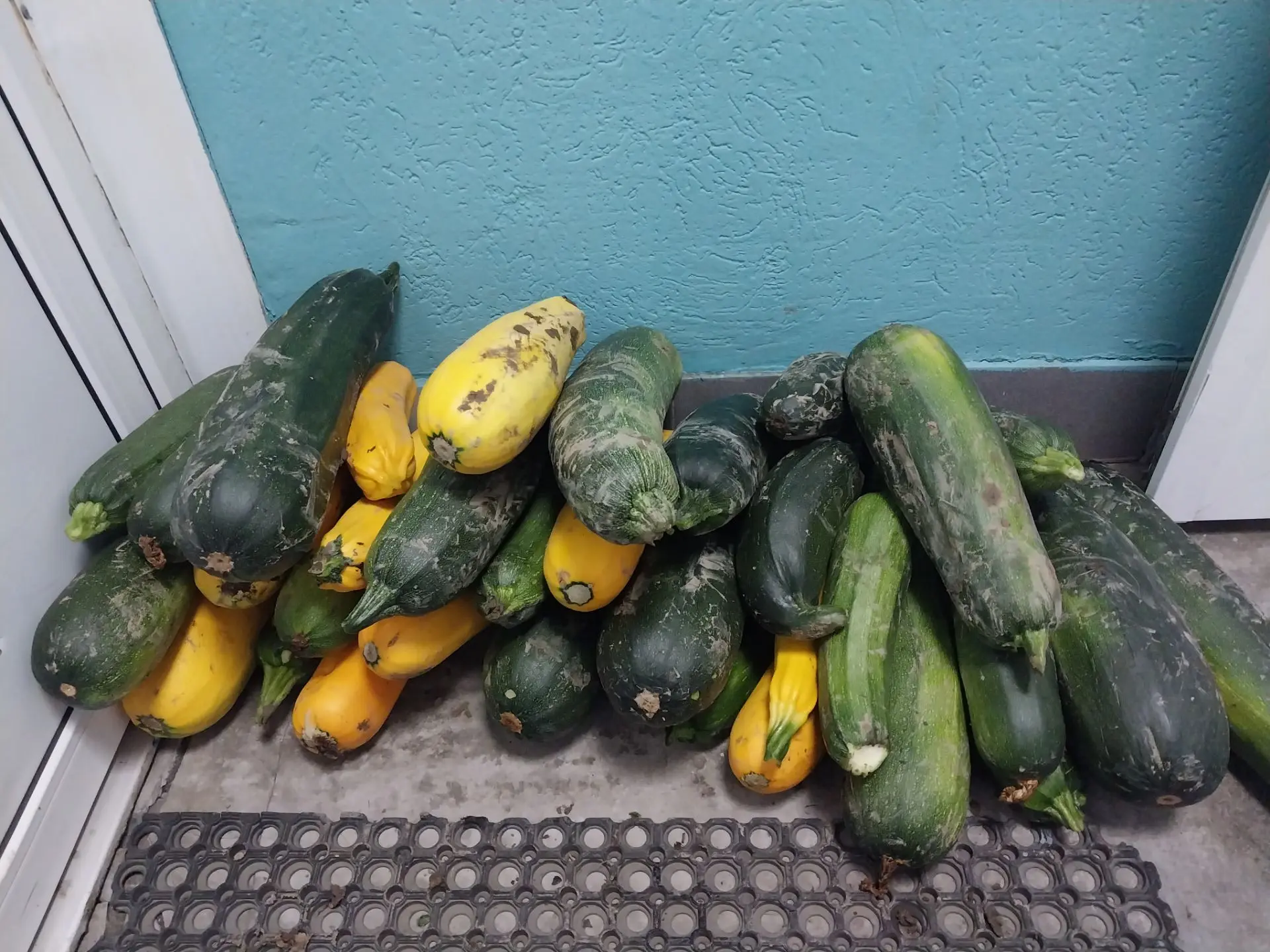 Настало время сбора первого урожая!🤝🥬

Сегодня ученики собрали с пришкольного участка более 30 каб