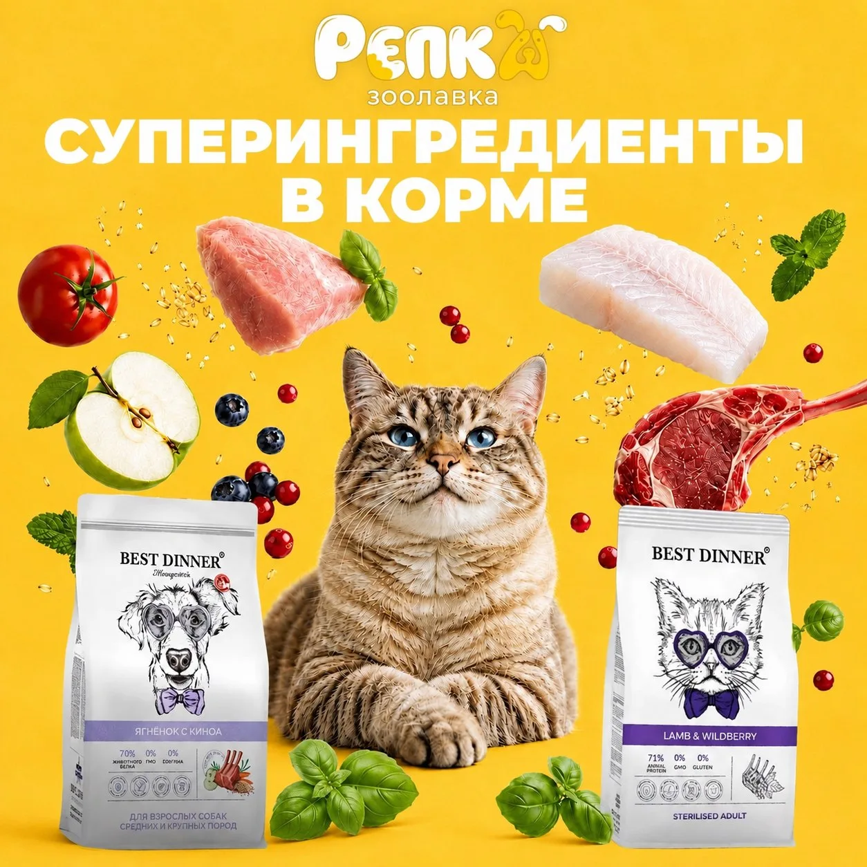 🐾 Суперингредиенты в корме для ваших питомцев! 🐾