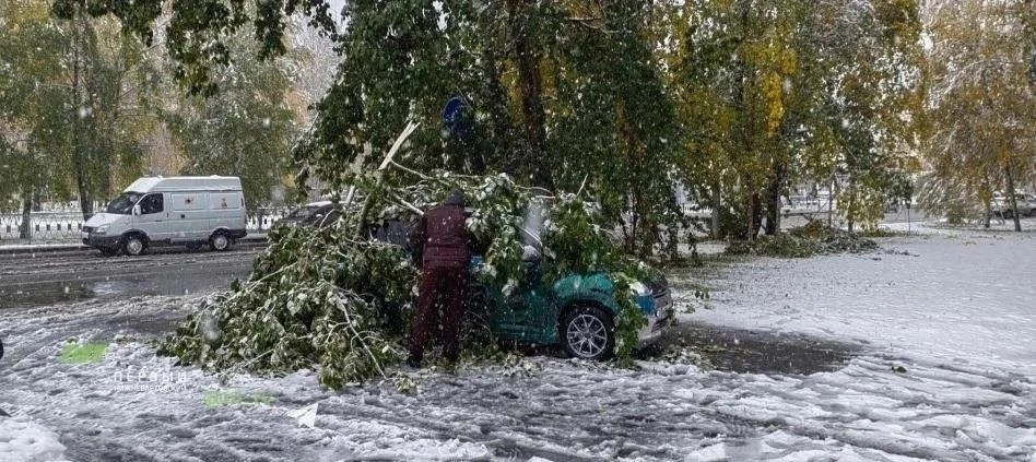 На Югру обрушился первый этой осенью снегопад. Власти просят не выезжать на дороги на л...