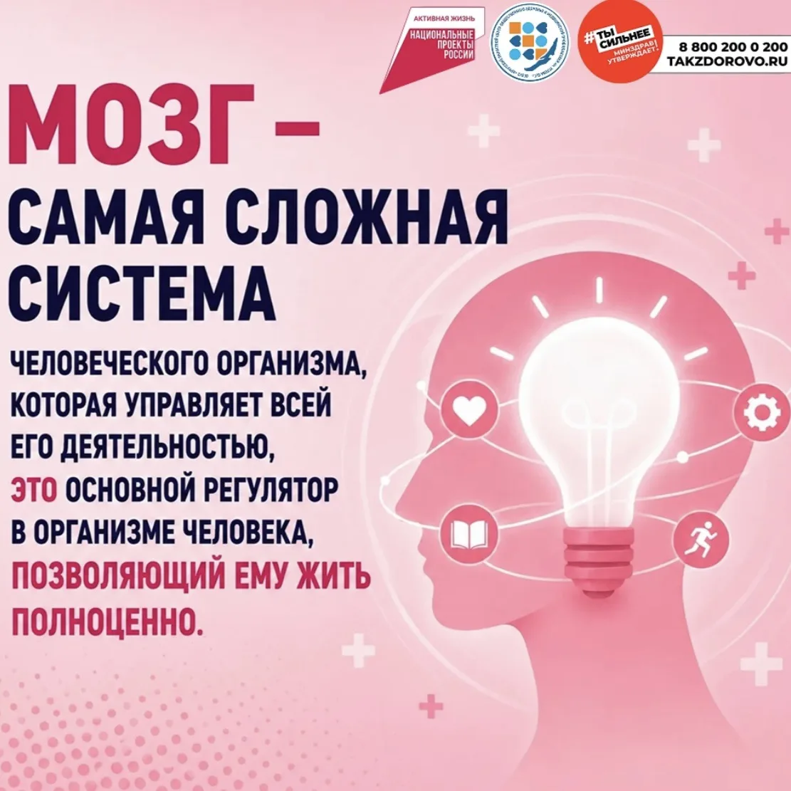 Всемирный день мозга отмечается ежегодно 22 июля. 🧠 

Как сохранить здоровье мозга?🧐
Для поддержан