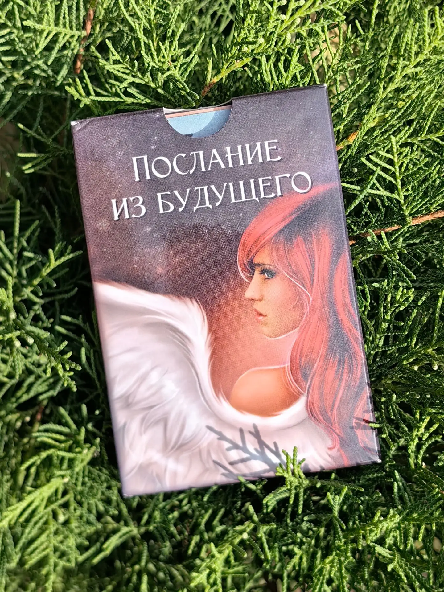 ПОСЛАНИЕ 🪄 ИЗ БУДУЩЕГО