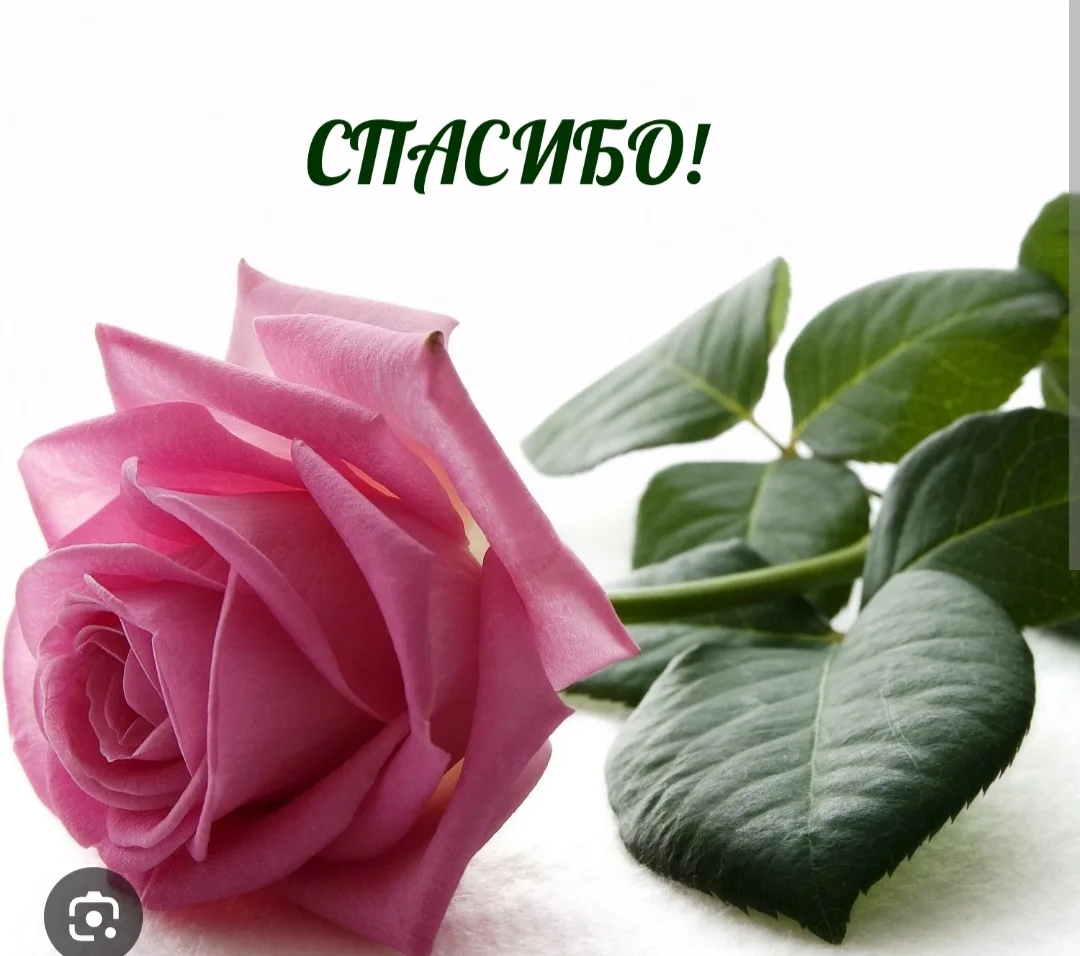 Благодарю ! Благодарю! Благодарю!