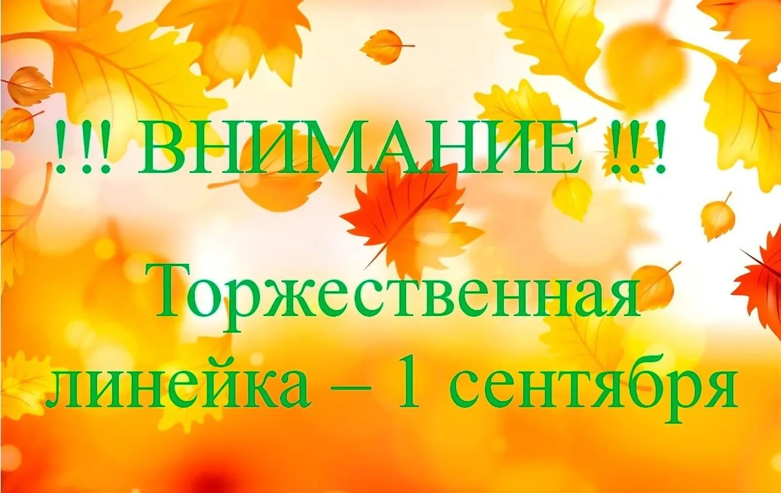 🍁Торжественная линейка, посвящённая Дню знаний🍁